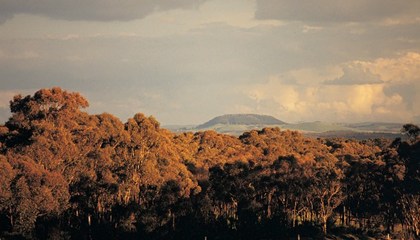 Macedon Ranges